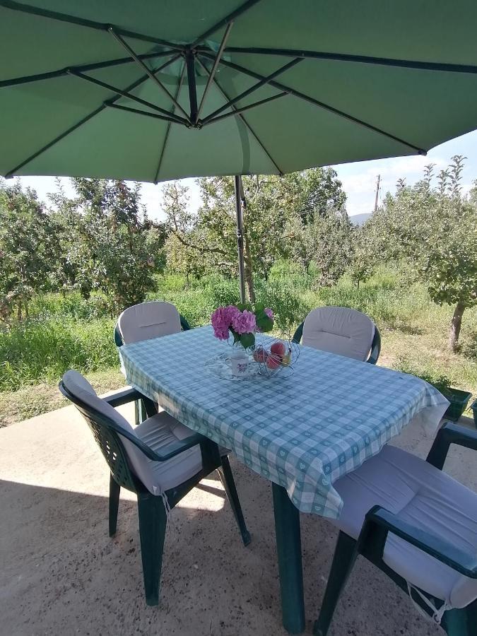 Villa Lila Dolno Dupeni Eksteriør bilde