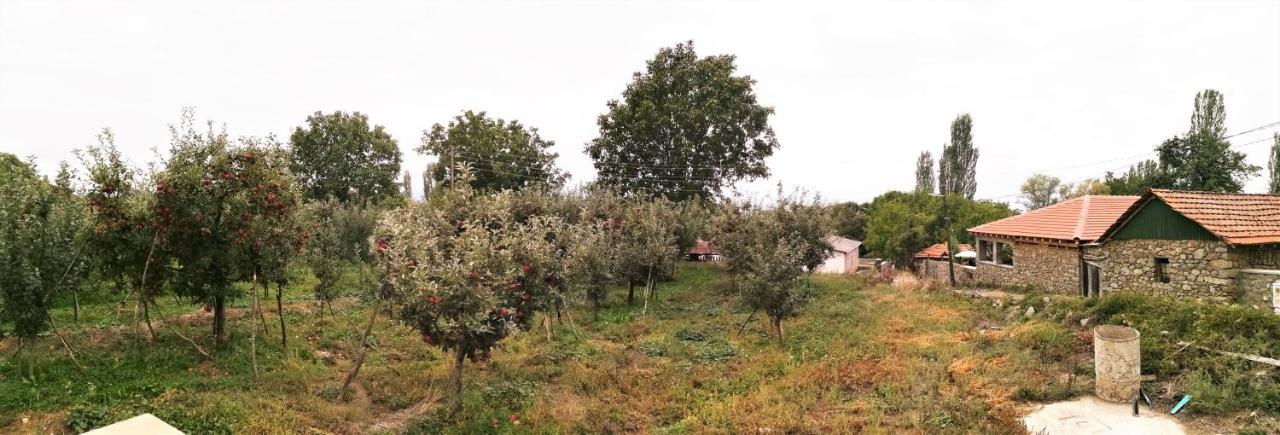 Villa Lila Dolno Dupeni Eksteriør bilde